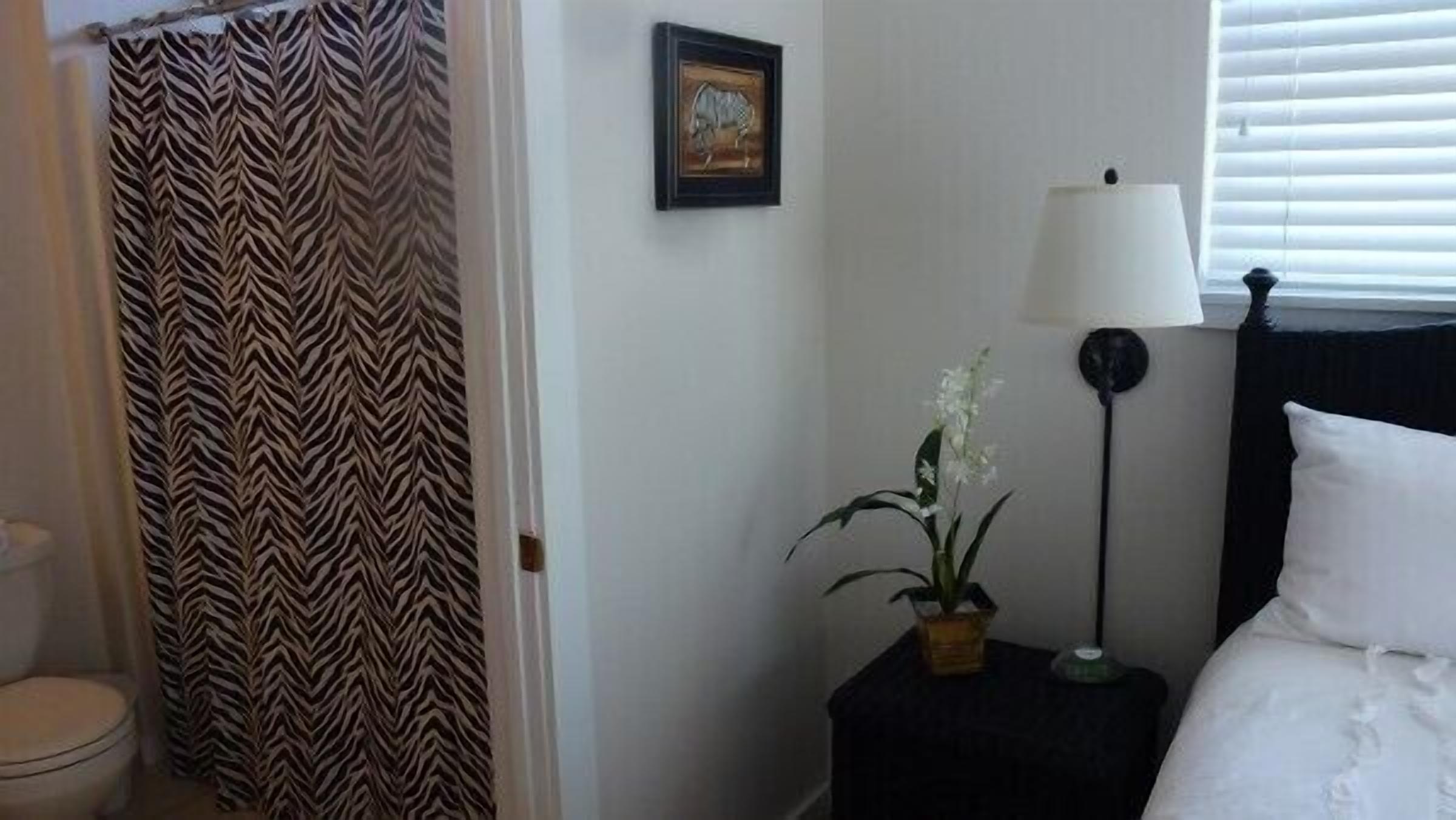 Een slaapkamer met een bed, een nachtkastje met een lamp, een kamerplant, een lijst met een foto aan de muur en een badgordijn met een zebrapatroon.