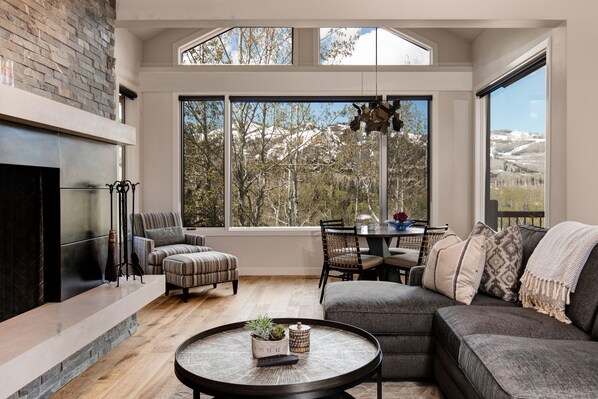 TV, fireplace, stereo