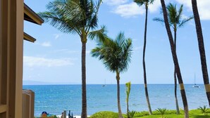 A view of a beach with palm trees and the ocean.