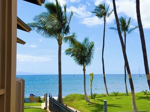 Property grounds - OCEANFRONT RESORT- WHALES+LOW WINTER RATES-  Kihei Sands Beachfront Condo-B10 (Kihei)