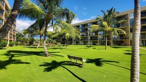 Un pati d'hotel amb un jardí ben cuidat, palmeres i una banca.