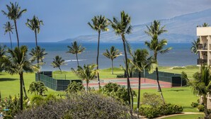 Una pista de tennis envoltada de palmeres, amb vistes a una platja i muntanyes a la distància.