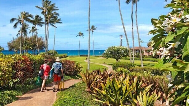 Property grounds - Kahala 514 Poipu Tropical By Suite Paradise (Koloa)