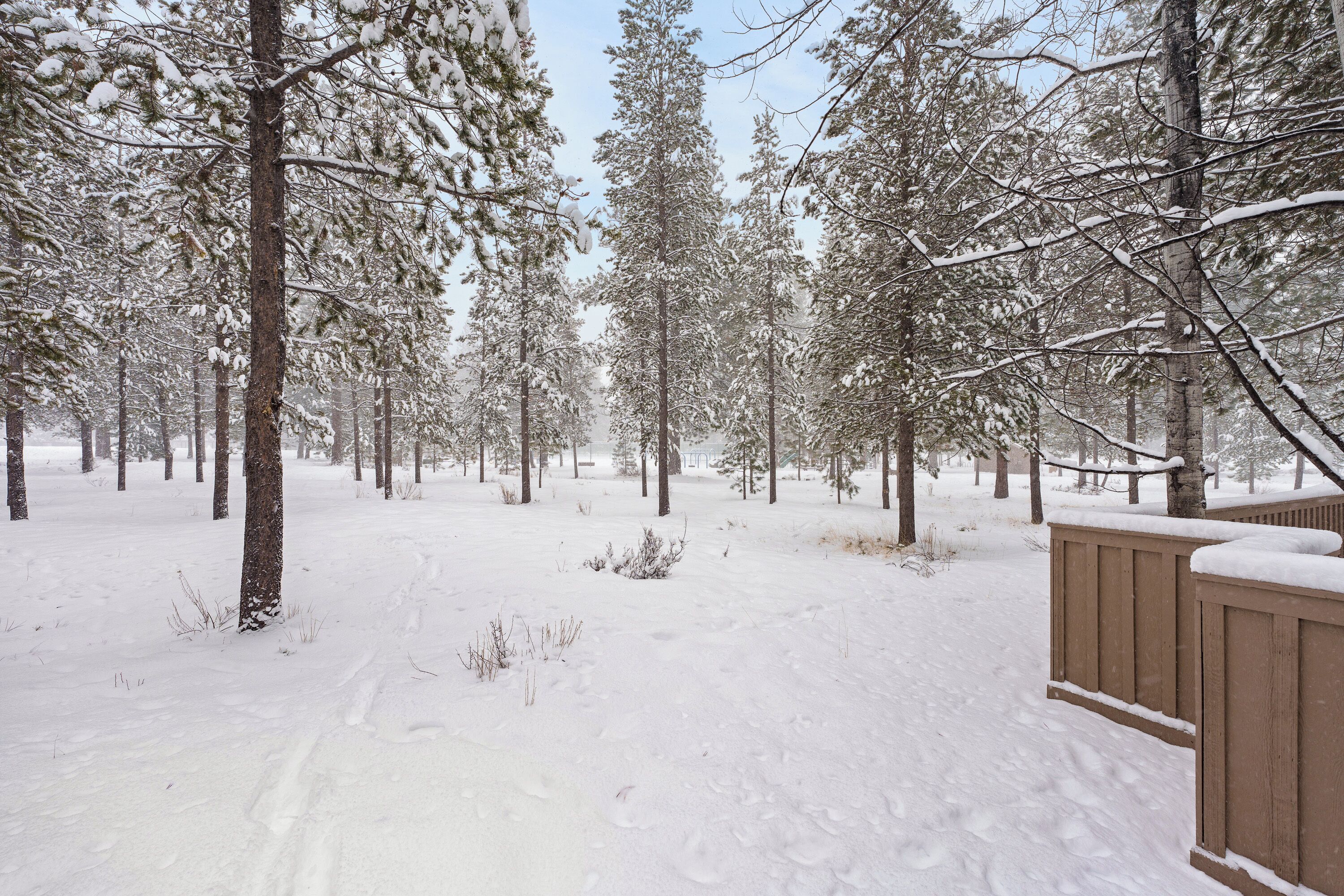 A snowy forest scene with a wooden fence.