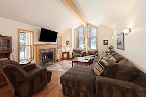 TV, fireplace, video games, DVD player