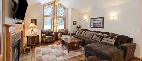 TV, fireplace, video games, DVD player