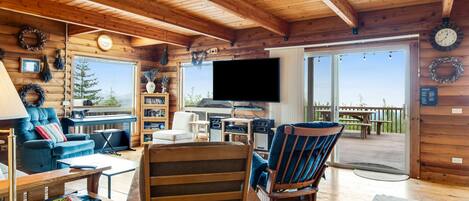 Televisión, reproductor de DVD, libros, videoteca