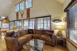 Televisio, takka, DVD-soitin, videokirjasto