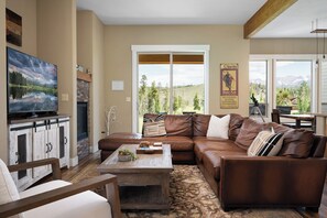 Smart TV, fireplace, books, video library