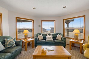TV, fireplace, video games, DVD player
