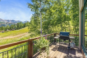 Property grounds - PINE MEADOWS 138- Gorgeous Ski-In/Ski-Out Condo w/Hot Tub & Views (Mountain Village)