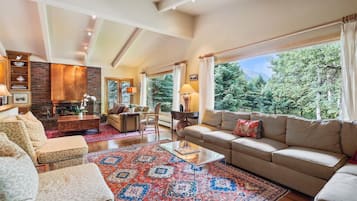 Télévision, cheminée, lecteur de DVD, livres