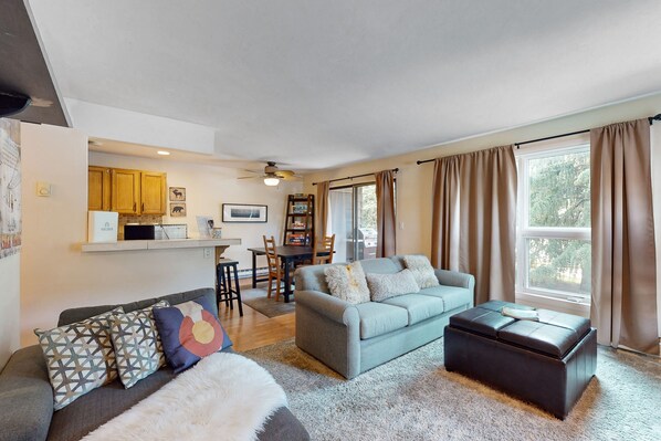 Tv, eldstad, dvd-spelare och ett filmbibliotek