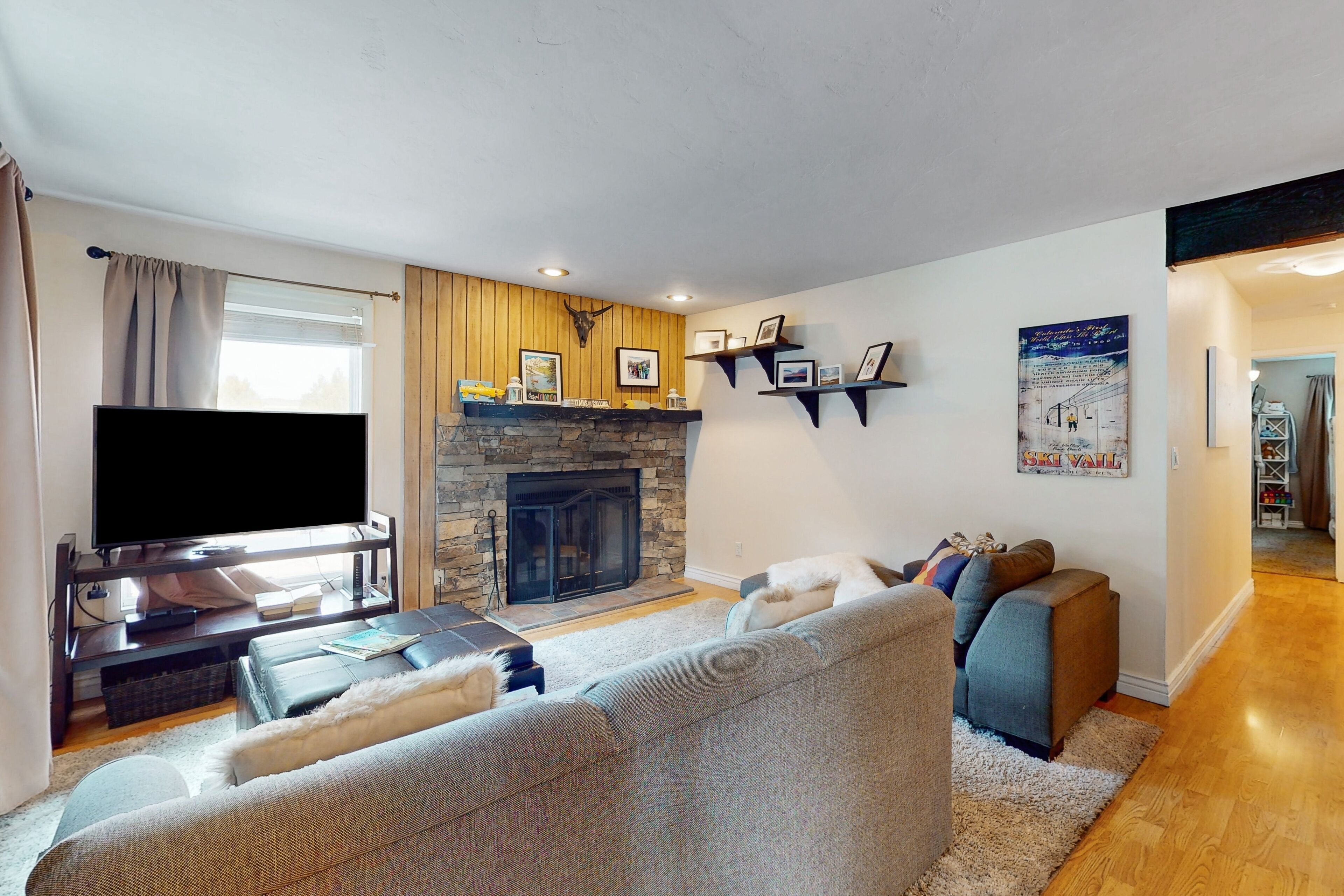 Televisie, een open haard, een dvd-speler en een filmbibliotheek