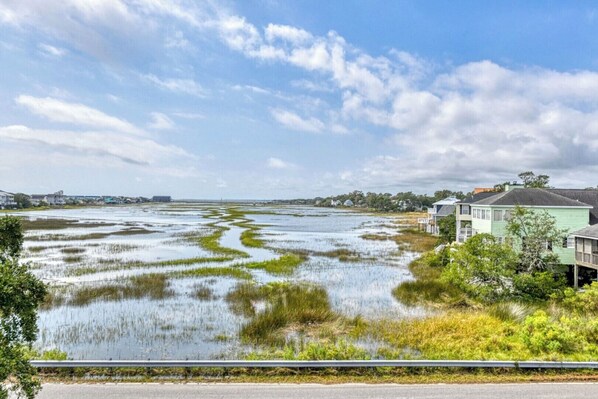 A coastal area with a road, marshy terrain, and houses with a view of the water.