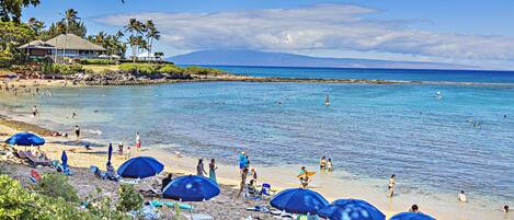 بالقرب من الشاطئ