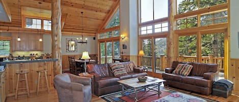 TV, fireplace, books, stereo