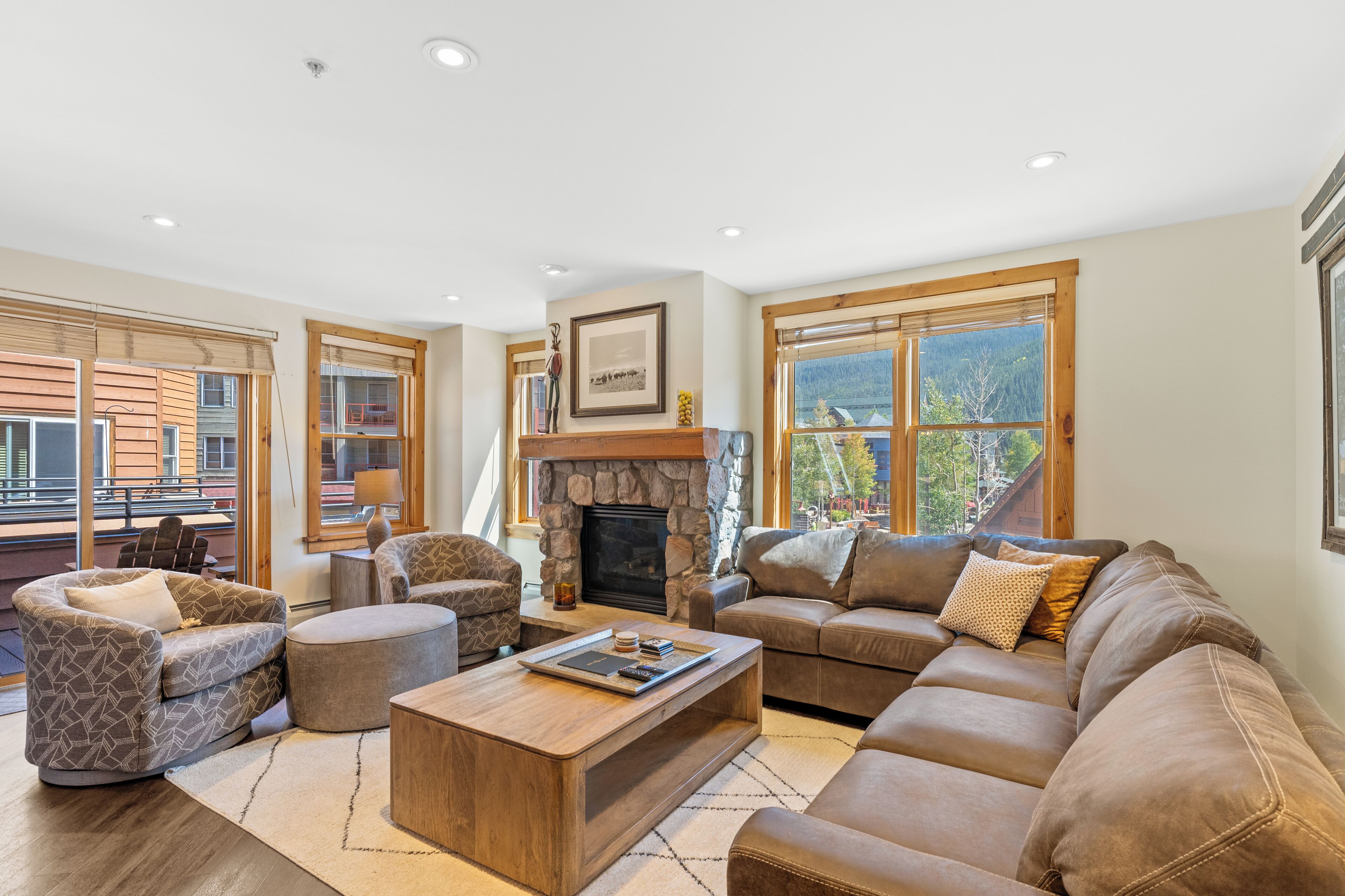 TV, fireplace, DVD player, books