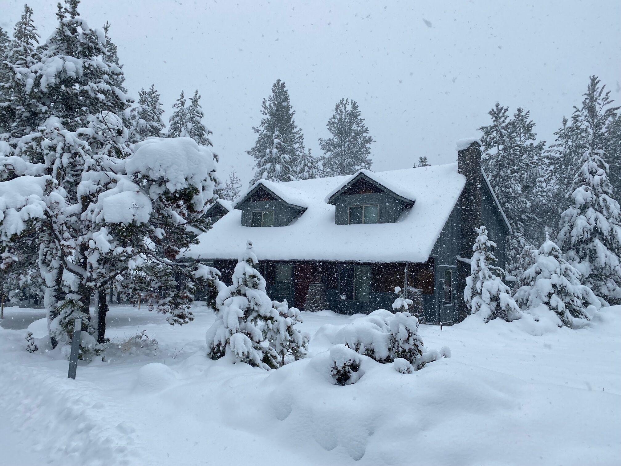 Una cabana amb un teulat cobert de neu i arbres al voltant, en un paisatge nevós.