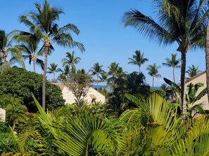 A tropical resort with palm trees and lush greenery.