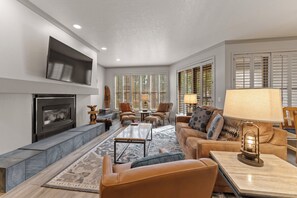 TV, fireplace, DVD player