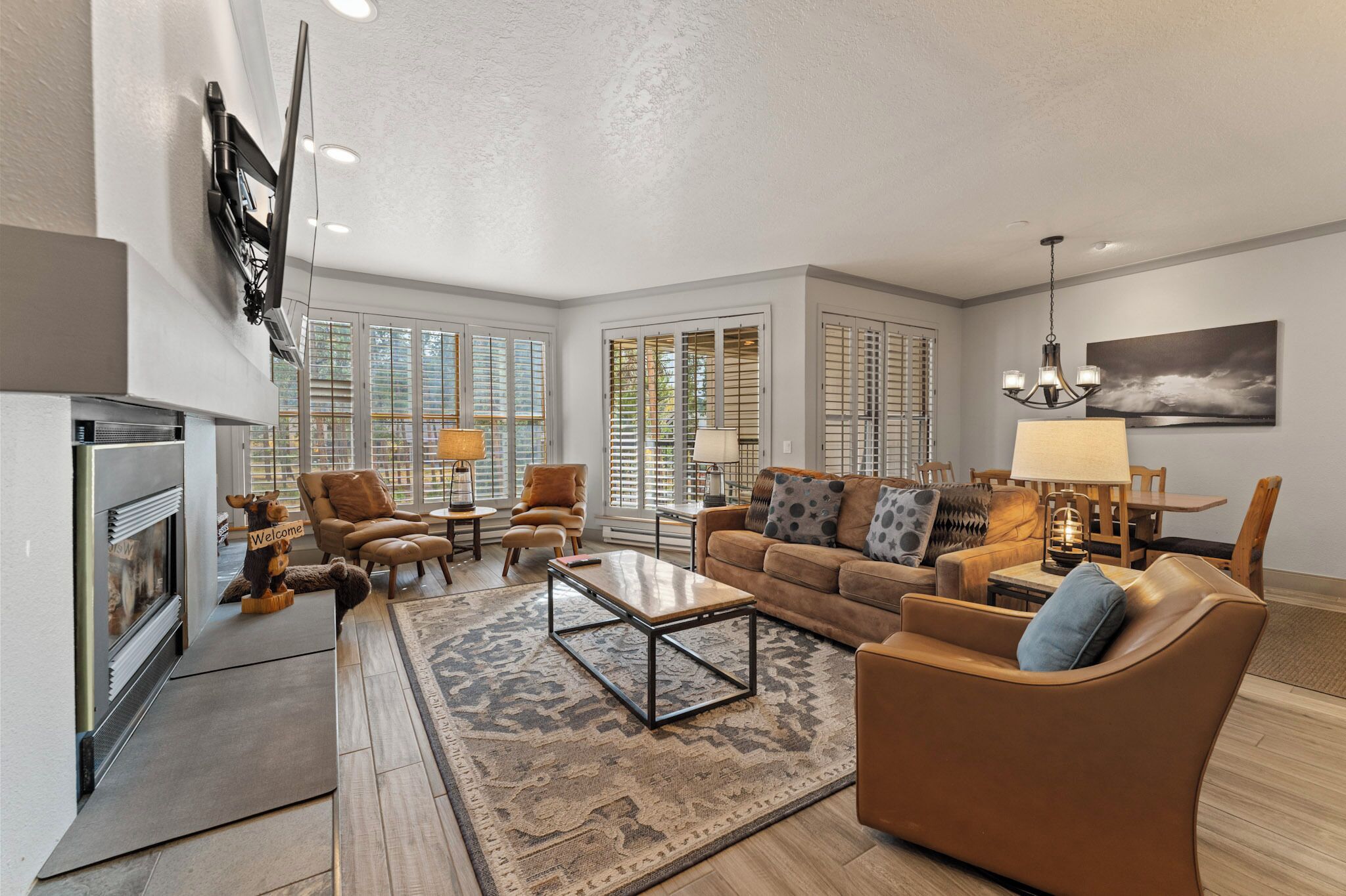 Télévision, cheminée, lecteur de DVD