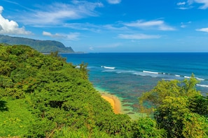 Una playa cerca