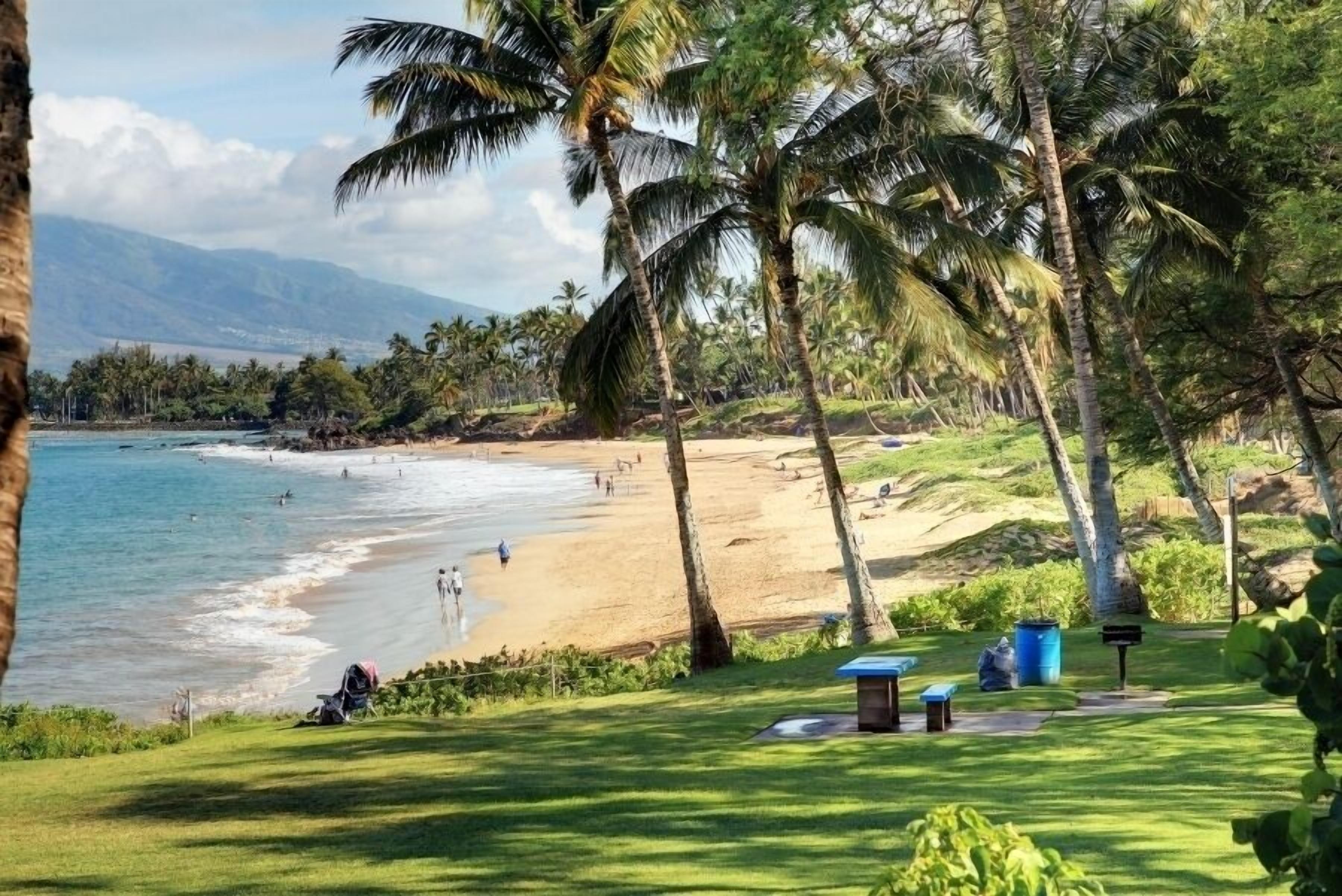 On the beach, sun-loungers, beach towels