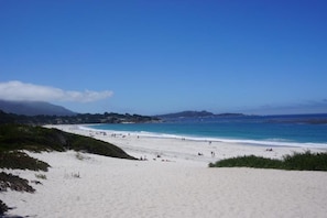 Beach - Peaceful Retreat - Carmel House - Lovely and Private (Carmel)