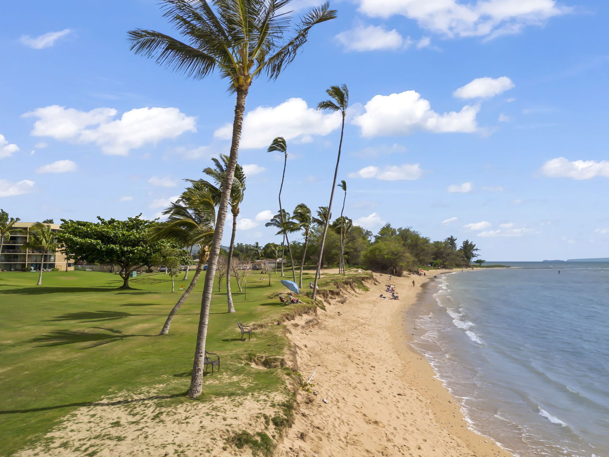 Ein Strand mit Palmen, einer Rasenfläche und einem Gebäude im Hintergrund.