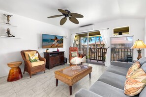 Televisio, DVD-soitin, kirjoja