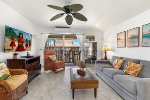 TV, DVD player, books