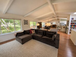 Flat-screen TV, fireplace, video games, DVD player