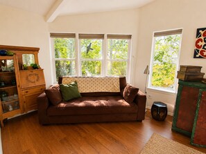 Flat-screen TV, fireplace, video games, DVD player