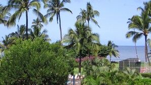 A lush garden with palm trees and a view of the ocean. - Maui Sunset Vacation Rentals A-306 (Kihei)