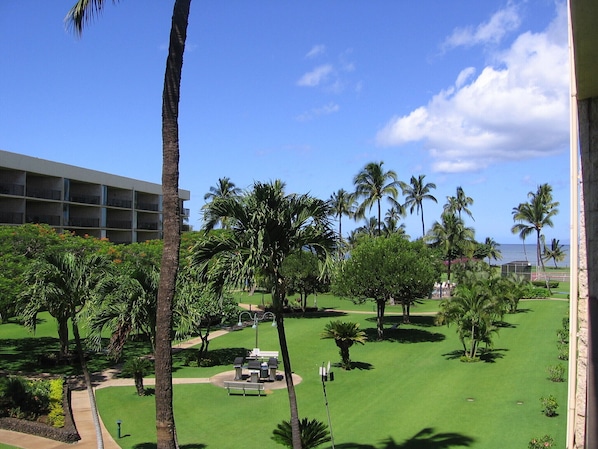 A well-maintained lawn with palm trees, a bench, and a building in the background.