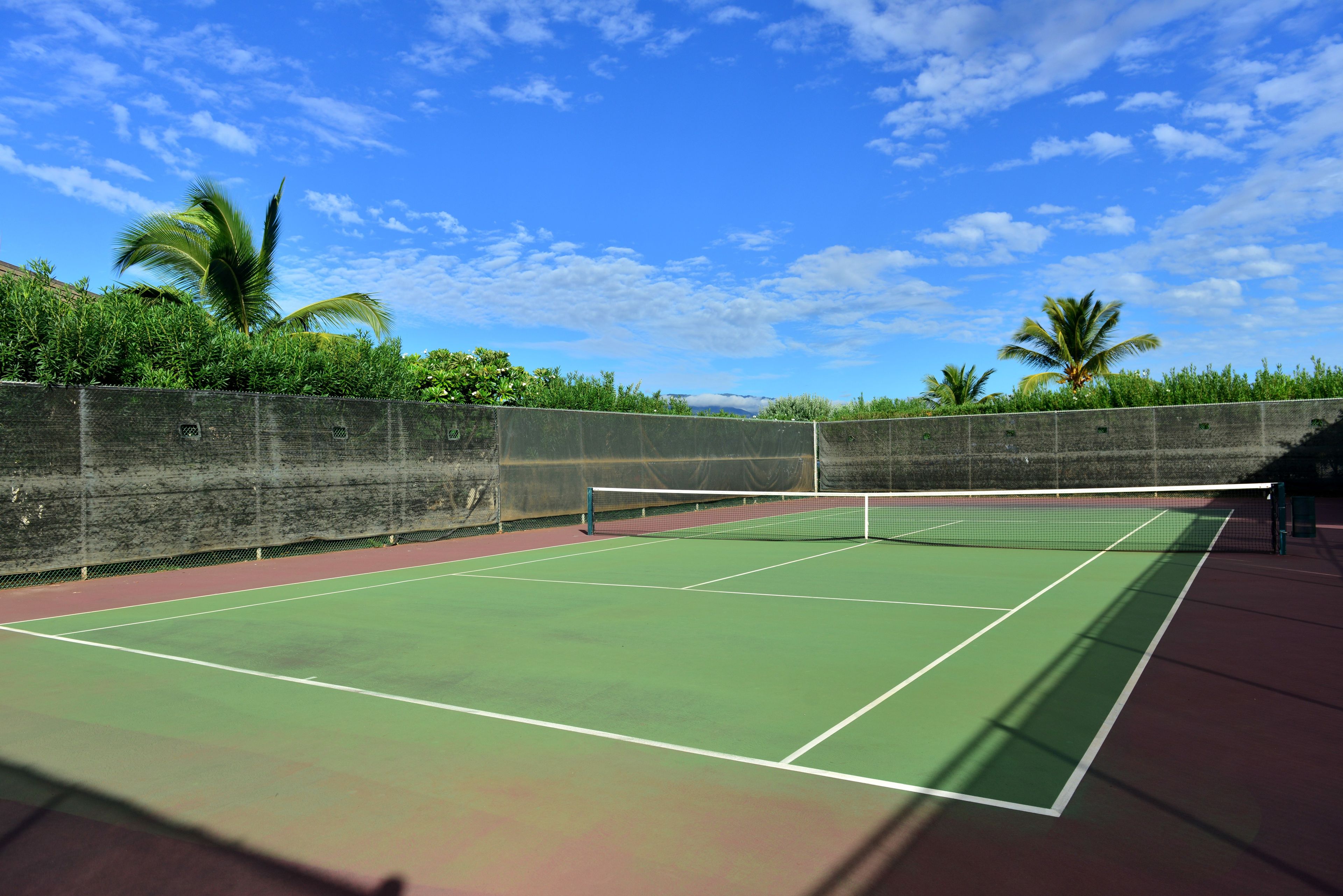 Ein Tennisplatz mit Netz, umgeben von einer niedrigen Mauer und Palmen.