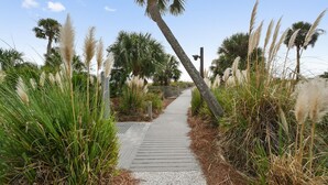 A pathway flanked by tall grasses and palm trees, leading to a beach area. - Shorewood 202 - Direct Oceanfront Beautiful Condo!! (Hilton Head Island)