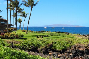 Property grounds - Gorgeous Ground-Floor Oasis – Makena Surf G-104 W/ Stunning Oceanfront Views! (Wailea-Makena)