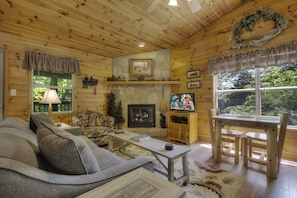TV, fireplace, DVD player