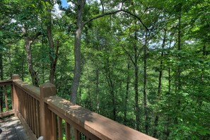 A wooden deck surrounded by dense forest.