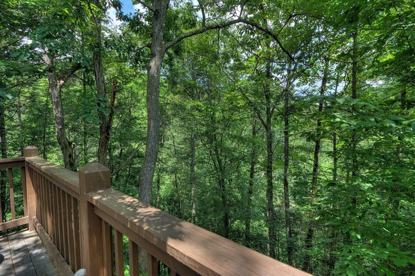 A wooden deck surrounded by dense forest.