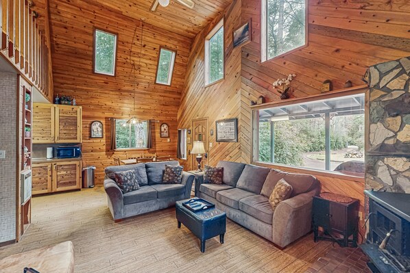 TV, fireplace, DVD player, video library