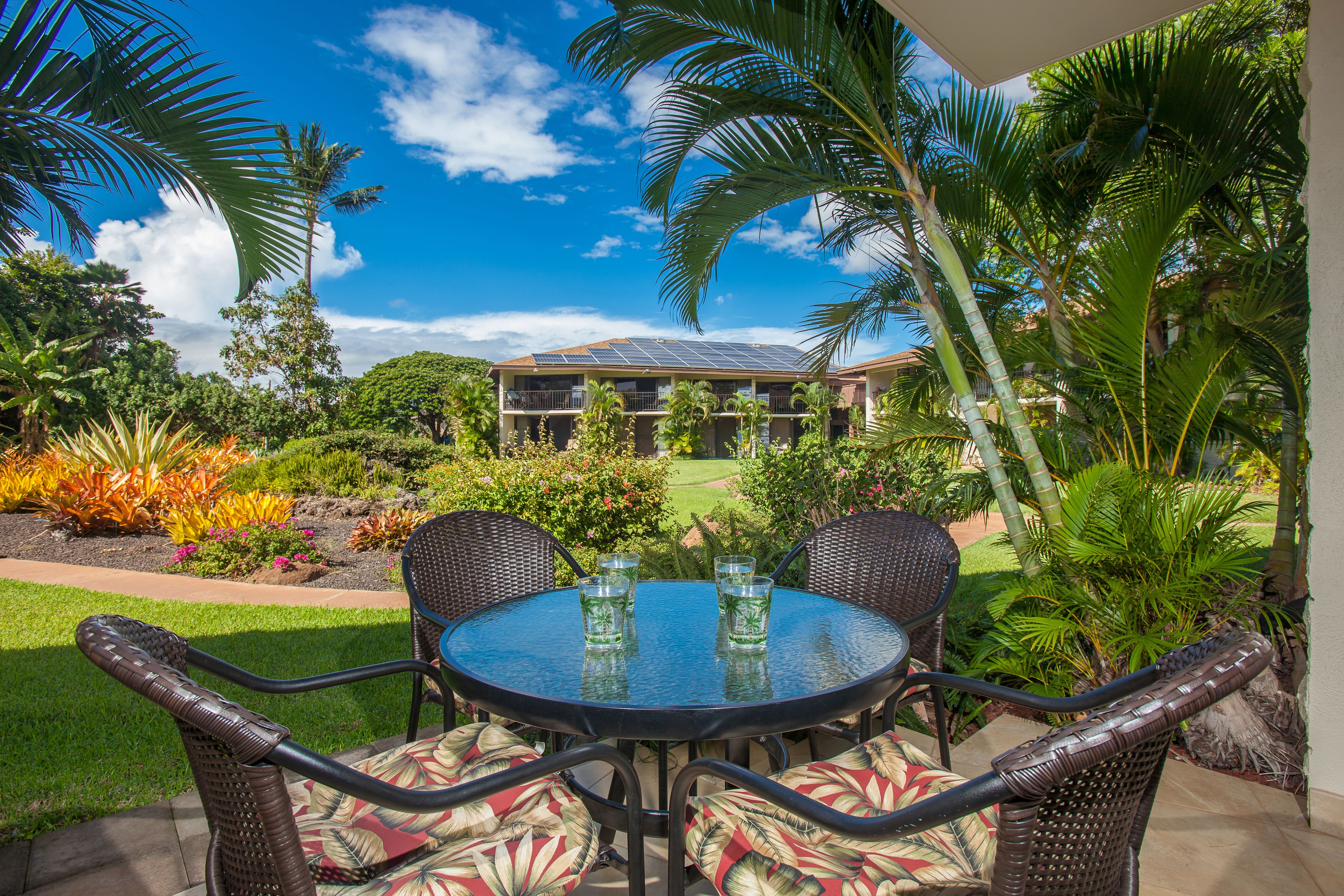 A patio area with wicker chairs and a round table, surrounded by lush tropical plants and a view of a building with solar panels.