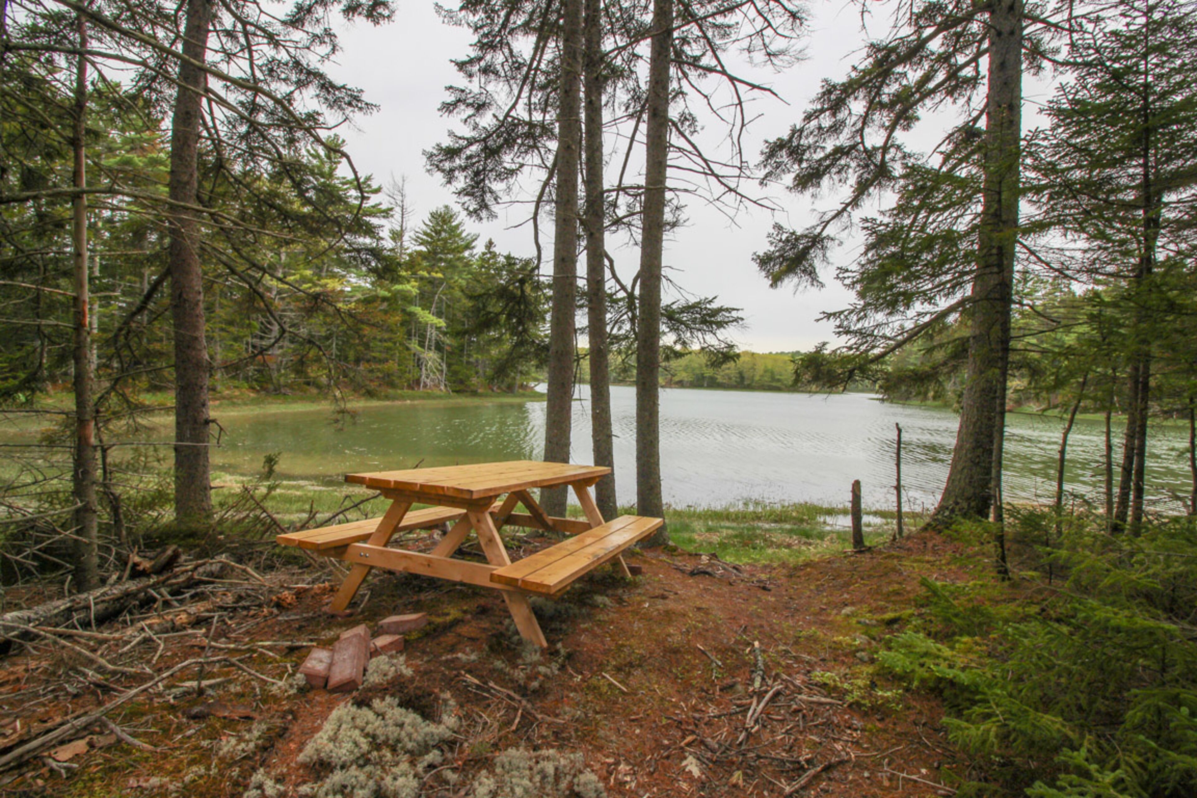 Private riverfront retreat with foosball & firepit - overlooks nature preserve