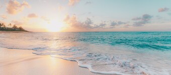 Do you love the beach?