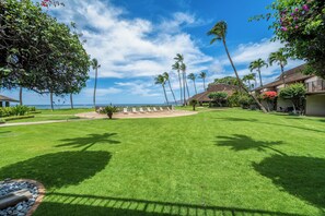Property grounds - Ma'alaea Surf Unit B2-1 BR Ground Floor Beachfront Condo, AC, Wifi, Pool, TV (Kihei)