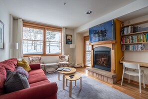 Smart TV, chimenea, reproductor de DVD y libros 