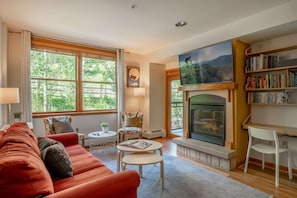 Smart TV, caminetto, lettore DVD, libri