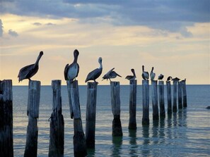 Unclassified image, 3 of 19, button